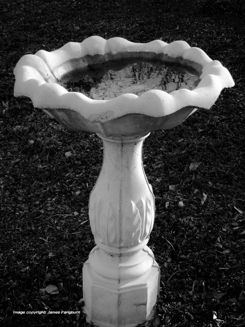 A black and white photo of an old concrete birdbath