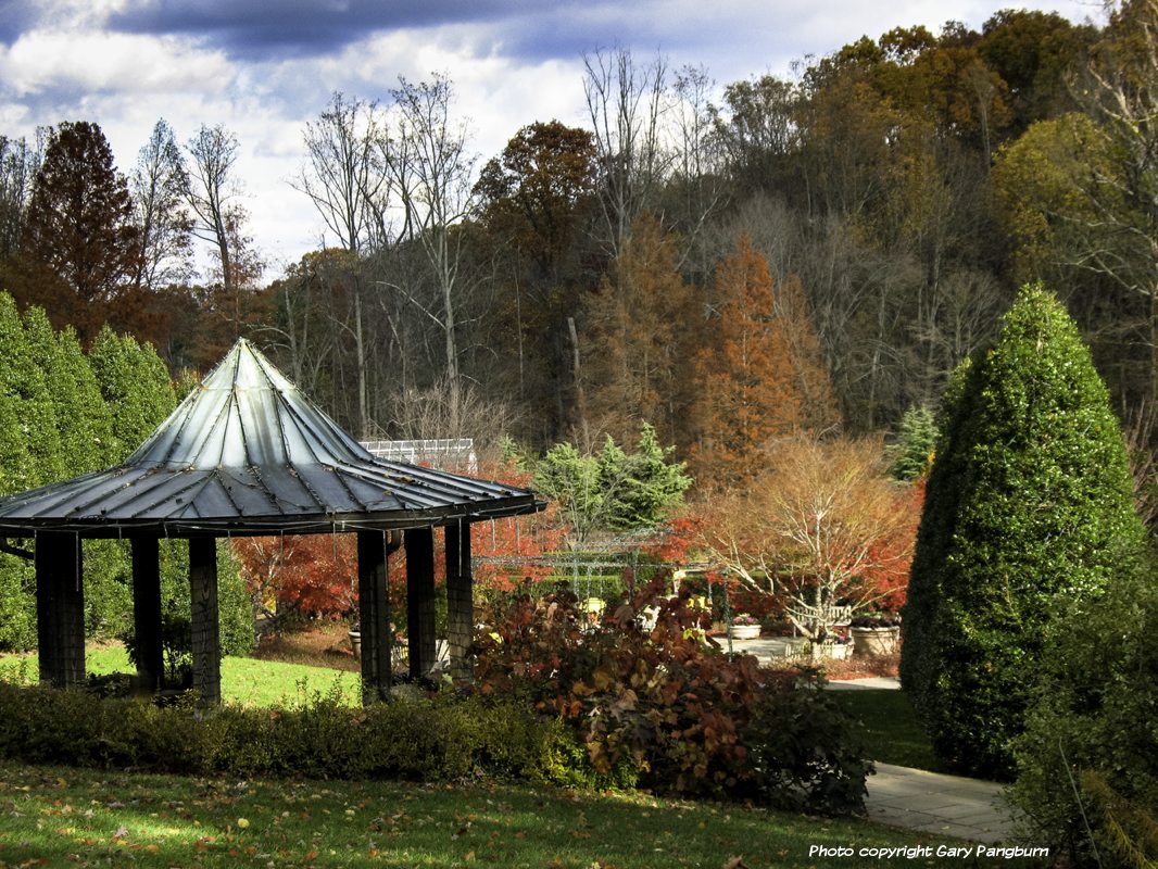 fall garden