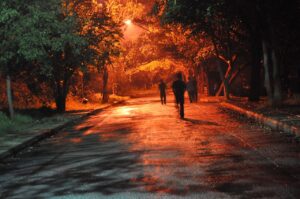 lost-474124_1280(https-::pixabay.com:photos:lost-hell-limbo-night-dark-forest-474124:)-zafer