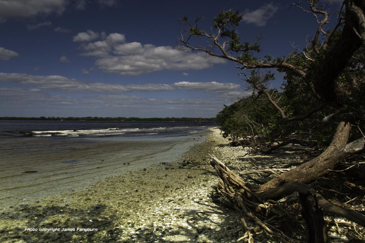 shoreline