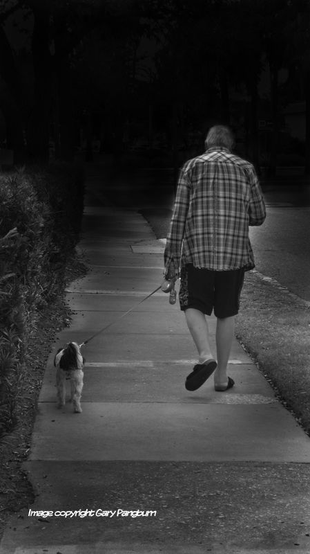 Man wearing shorts and long sleeve shirt, walking dog on path into being lost in the darkness