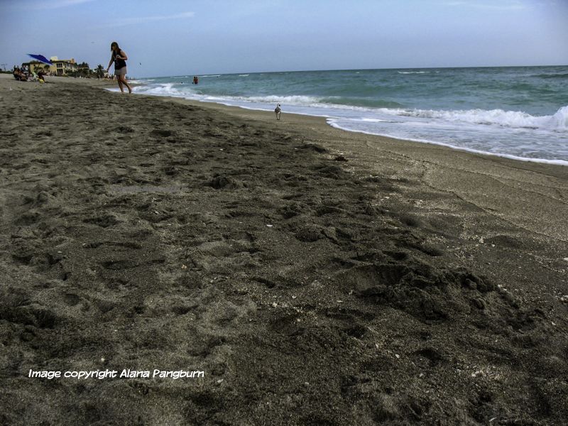 A sandy beach with person in the background.