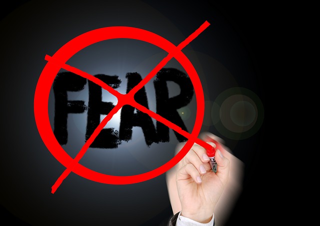 no fear graphic