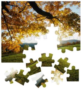 photo puzzle missing pieces