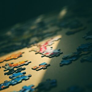 puzzle-zhu-jia-bin-4ALy4MBI0DI-unsplash(https-::unsplash.com:photos:4ALy4MBI0DI)