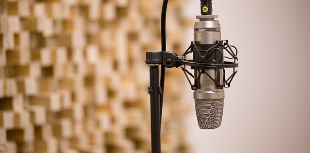 studio microphone