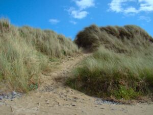 shortcut-through-the-dunes(https-::www.publicdomainpictures.net:view-image.php?image=205157&picture=shortcut-through-the-dunes)-fionakate-Storey