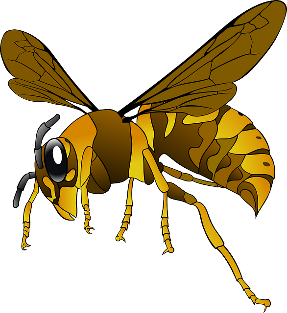 A graphical image of a hornet.
