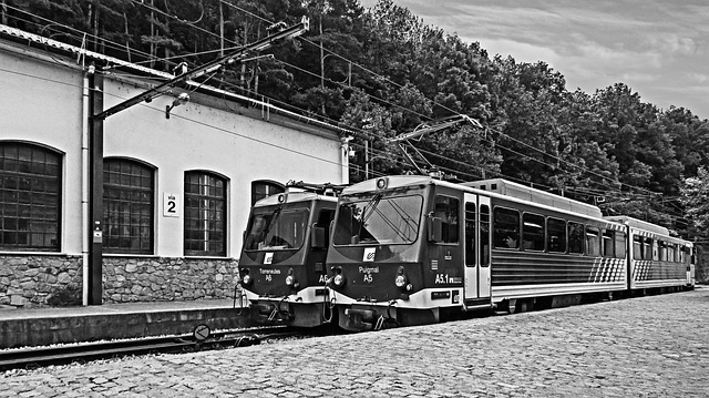 Two trains sitting side by side at a station.