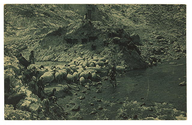 A postcard of the brook Cherith from 1921