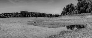 black and white photo of Rhine River at low tide during drought