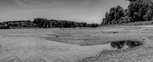 black and white photo of Rhine River at low tide during drought