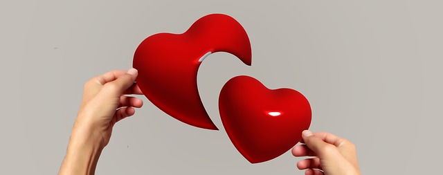 image of one hand holding a full red heart and the other holding half a heart