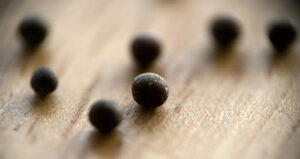 A close up photo of a few black mustard seeds on a light colored surface