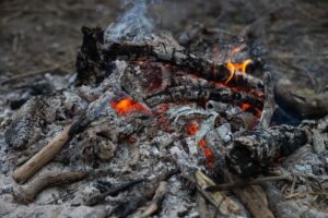ashes-4838788_1280(https-::pixabay.com:photos:ashes-smoke-wood-fire-fireplace-4838788:)-chulmin-park