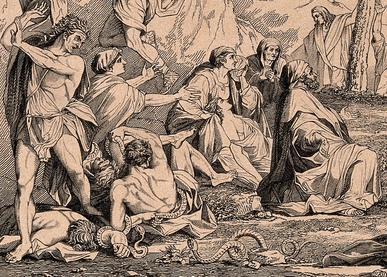 A cropped etching and print of the fiery serpents biting the Israelites in the wilderness by G. Cooke and G. Le Brun