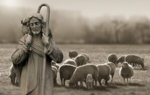 A mild sepia image of a stone shepherd sculpture holding a crook and a lamb over its shoulders with living sheep in the background