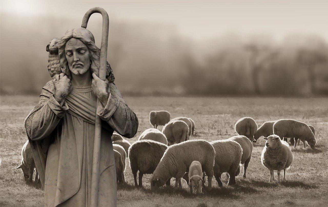 A mild sepia image of a stone shepherd sculpture holding a crook and a lamb over its shoulders with living sheep in the background