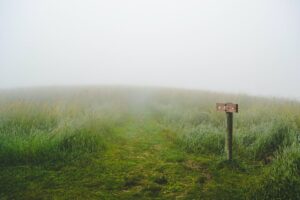 A large open and grassy hill with a grass path disappearing into dense fog and a small wooden directional sign on the right of the picture.