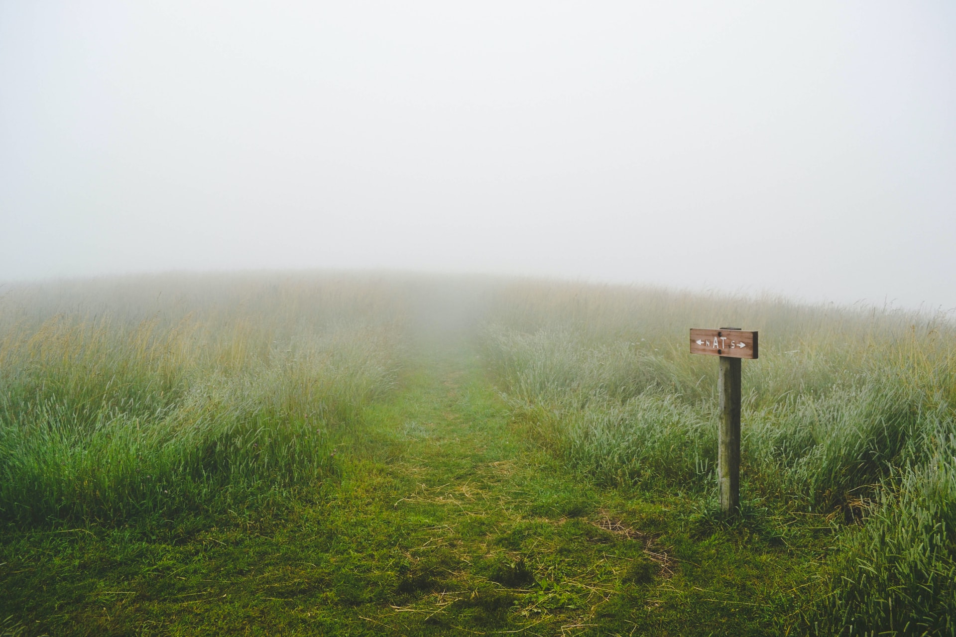 A large open and grassy hill with a grass path disappearing into dense fog and a small wooden directional sign on the right of the picture.