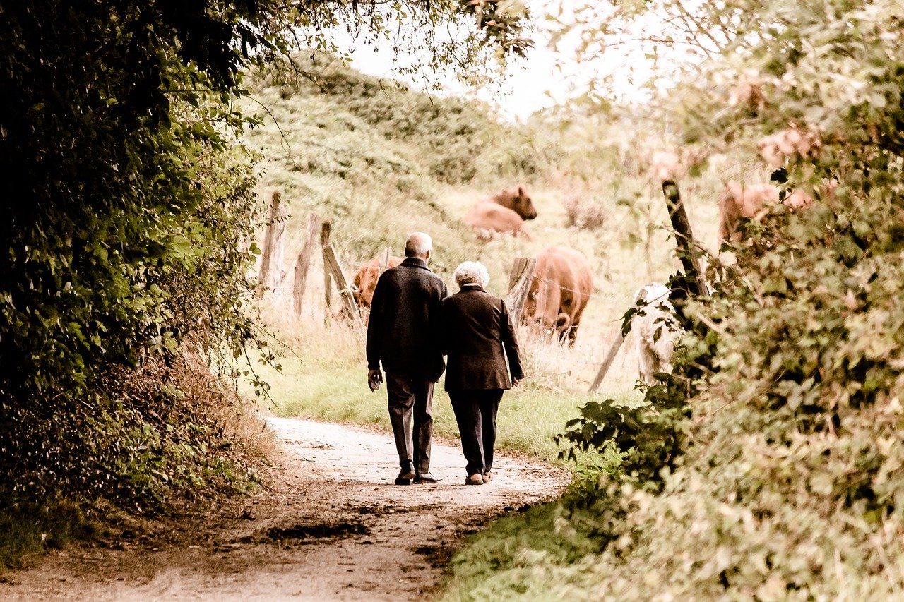 An older couple walking along a country brush lined path with brown cows grazing in the distance