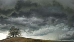 A clustered pair of leafless trees in the distance on a small brown hill with dense storm clouds in many shades of grey looming overhead