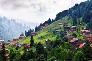 Assorted red roofed homes on the green grassy and tree filled hillside with clouds and more trees on another hillside in the background