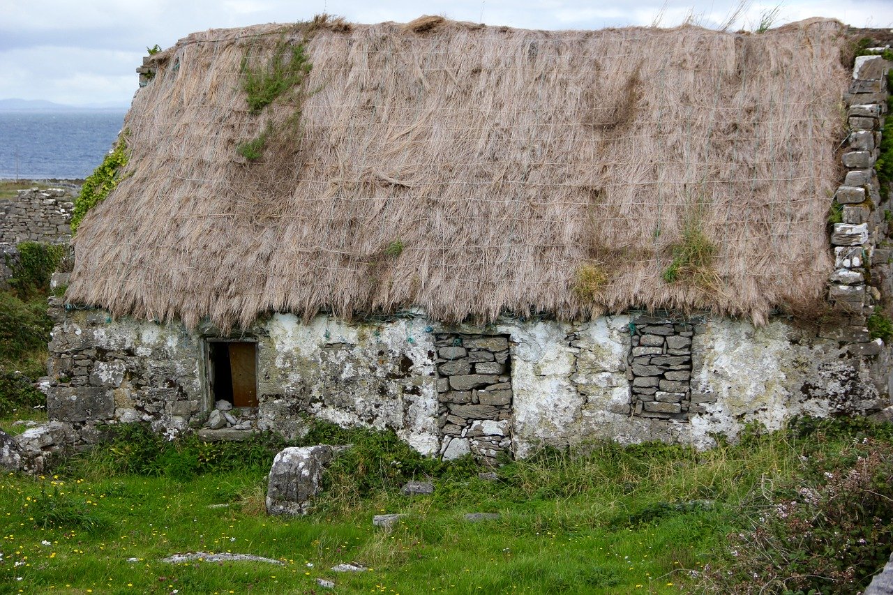 A old stone cottage with a thatched roof and thick green grass and weed combination in front