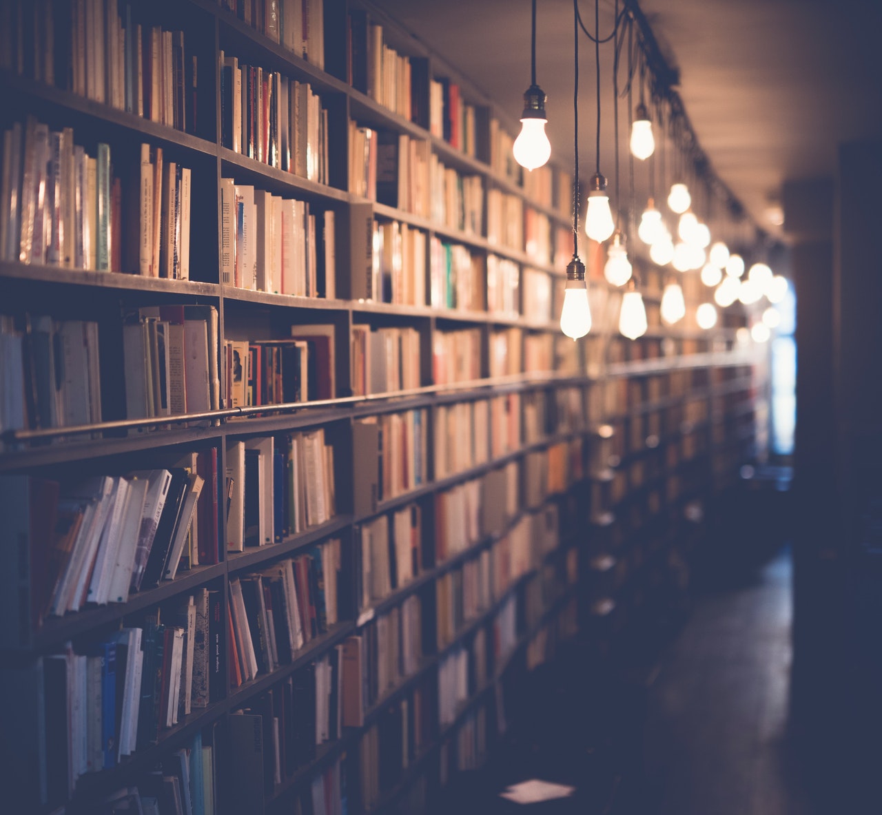 A long row of book shelves filled with books in front of a string of lit bare incandescent bulbs hanging from the ceiling traversing the length of the corridor