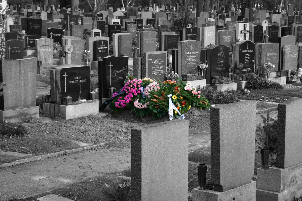 A black and white photo of a big and well packed cemetery with a large collection flowers on one of the graves in full color