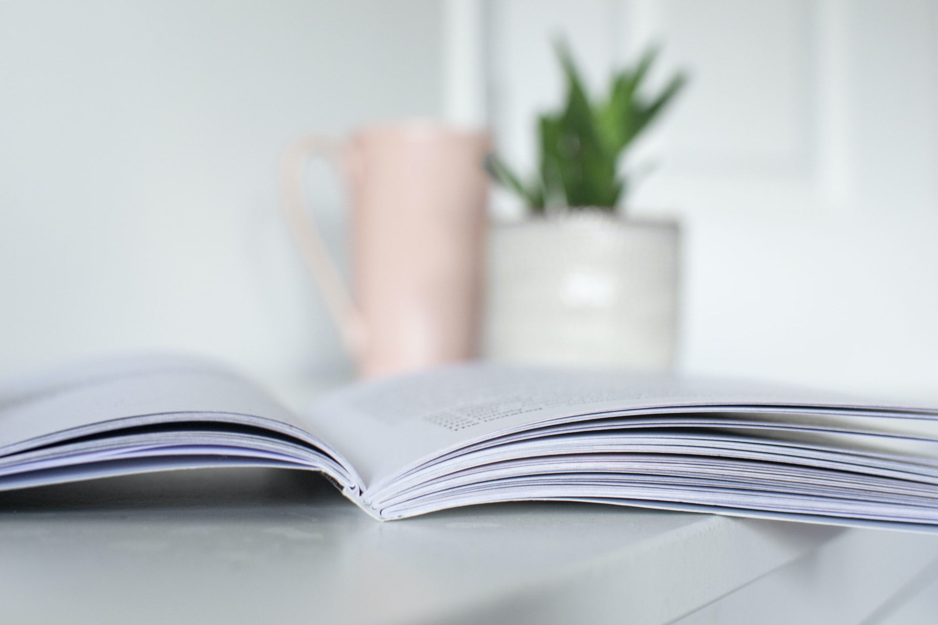 An open book laying flat on a white surface with a tall pink mug and a small white ceramic pot with green leaves of a plant on top in a well-lit white room