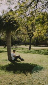 A man wearing a white t-shirt and blue jeans with legs propped up while holding a phone and sitting under a palm tree in the midst of a tree filled park on a sunny day