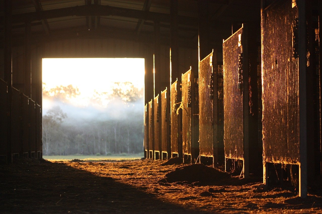 Golden sunlight illuminating the horse stalls in a barn with an overexposed foggy forest seen through the barn's opening in the background