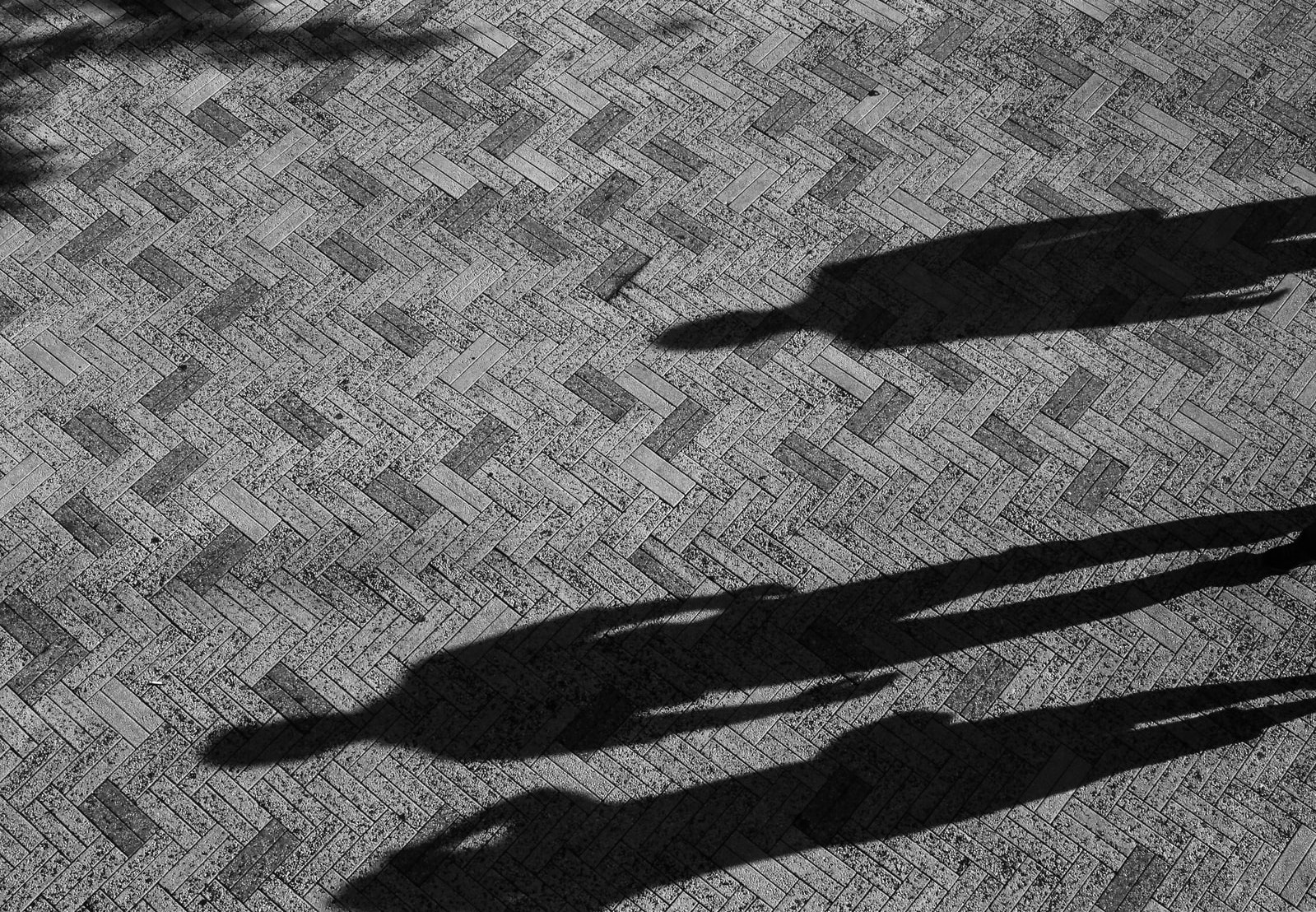 A black and white photo of three long shadows of human figures on top of a brick patterned walkway