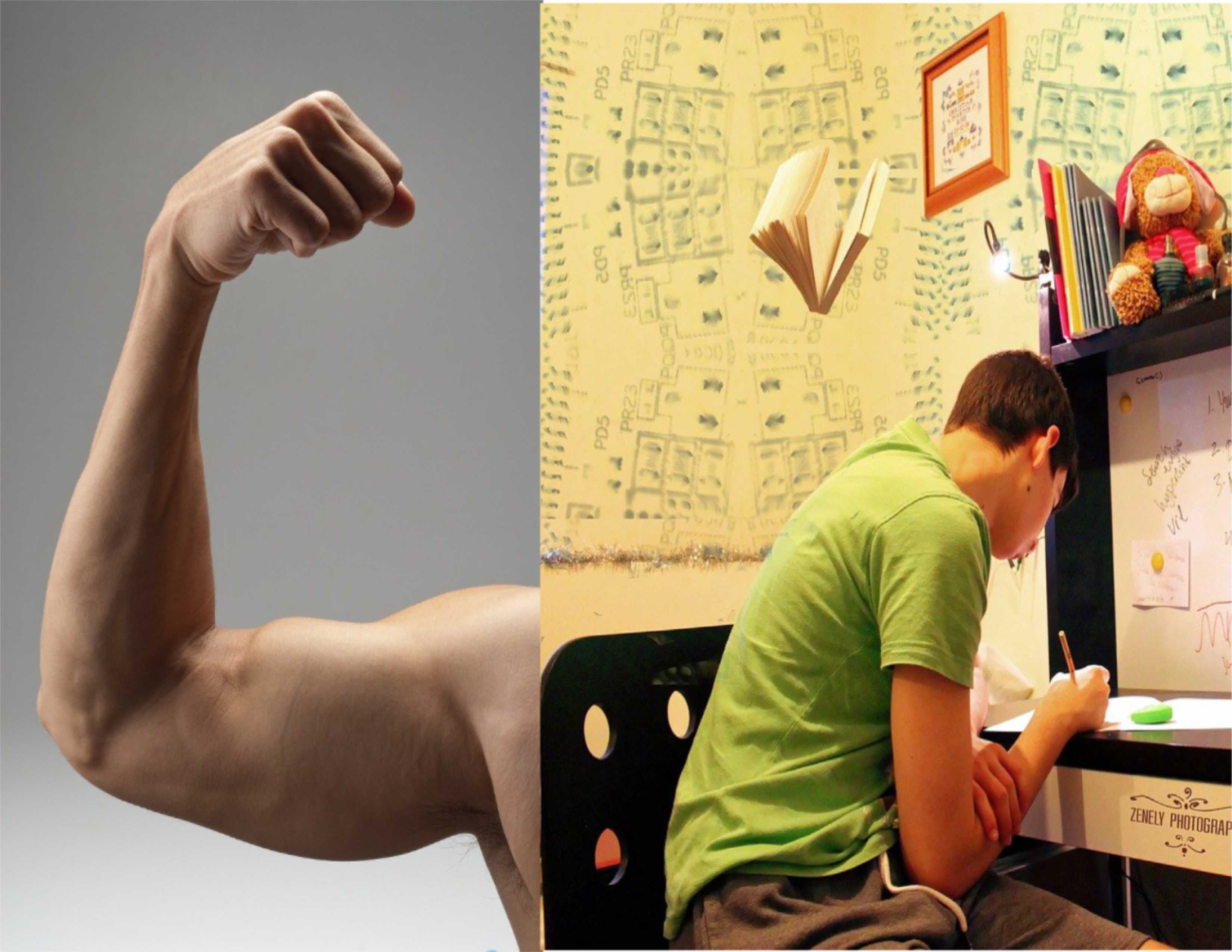 A combined photo of an arm flexed displaying muscles and a young Caucasian man wearing a light green t-shirt sitting a narrow desk/bookcase writing with assorted stuffed animals and books displayed on the shelves, a whiteboard with writing, walls covered with various diagrams and figures as well as several open books floating in midair