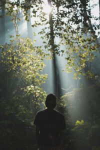 A silhouette of a young man facing a forest with white sunbeams streaming down