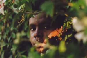 The face of a young African man partially obscured by the leaves of a tree