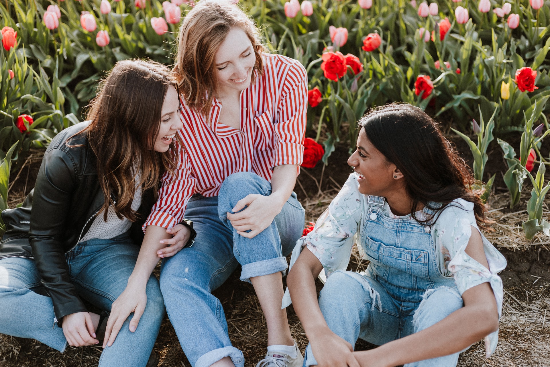 A photo of three young woman seated and laughing with a field of red and pink tulips in the background