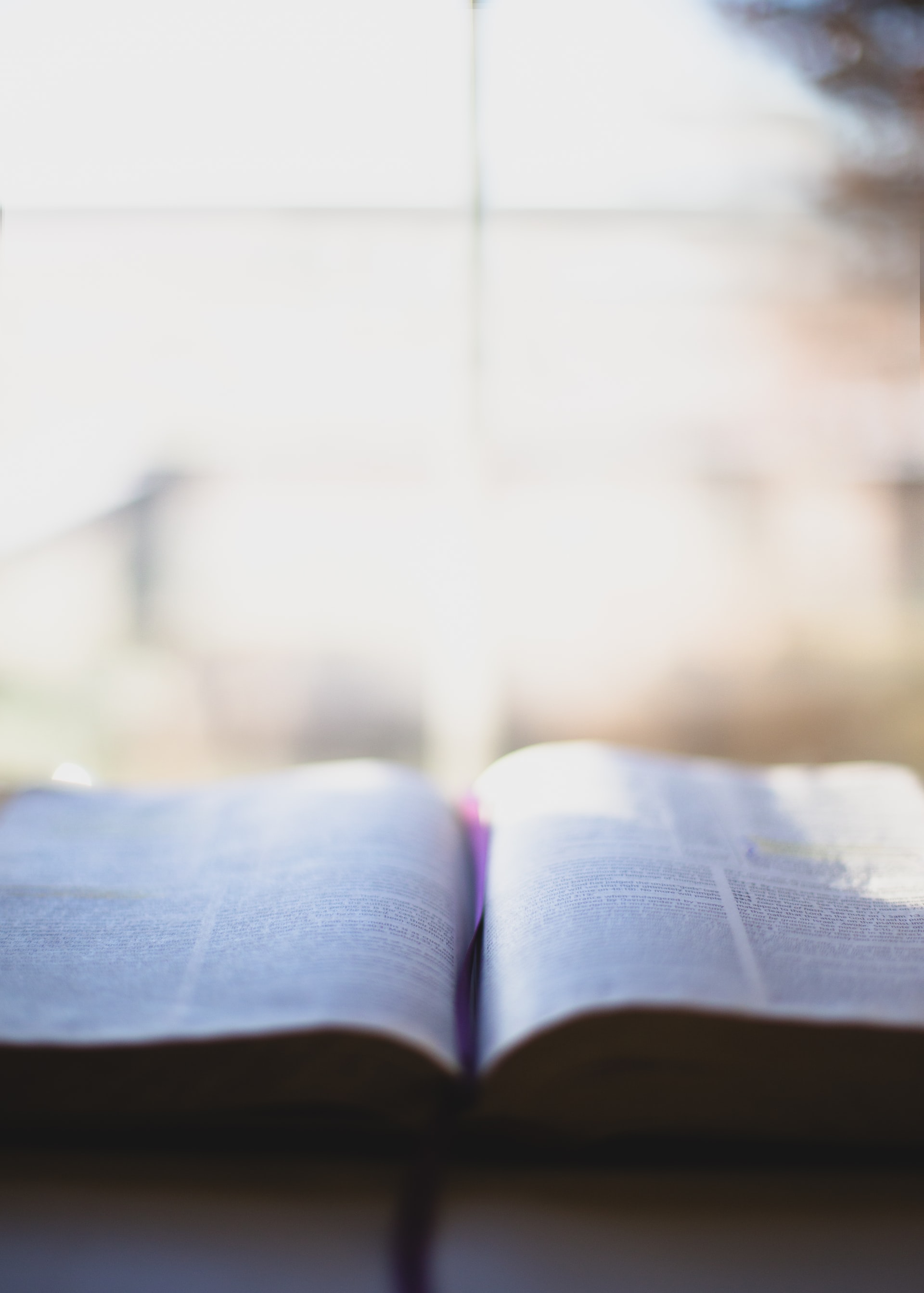 A photo of an open Bible laying flat with a brightly sunlit window in the background