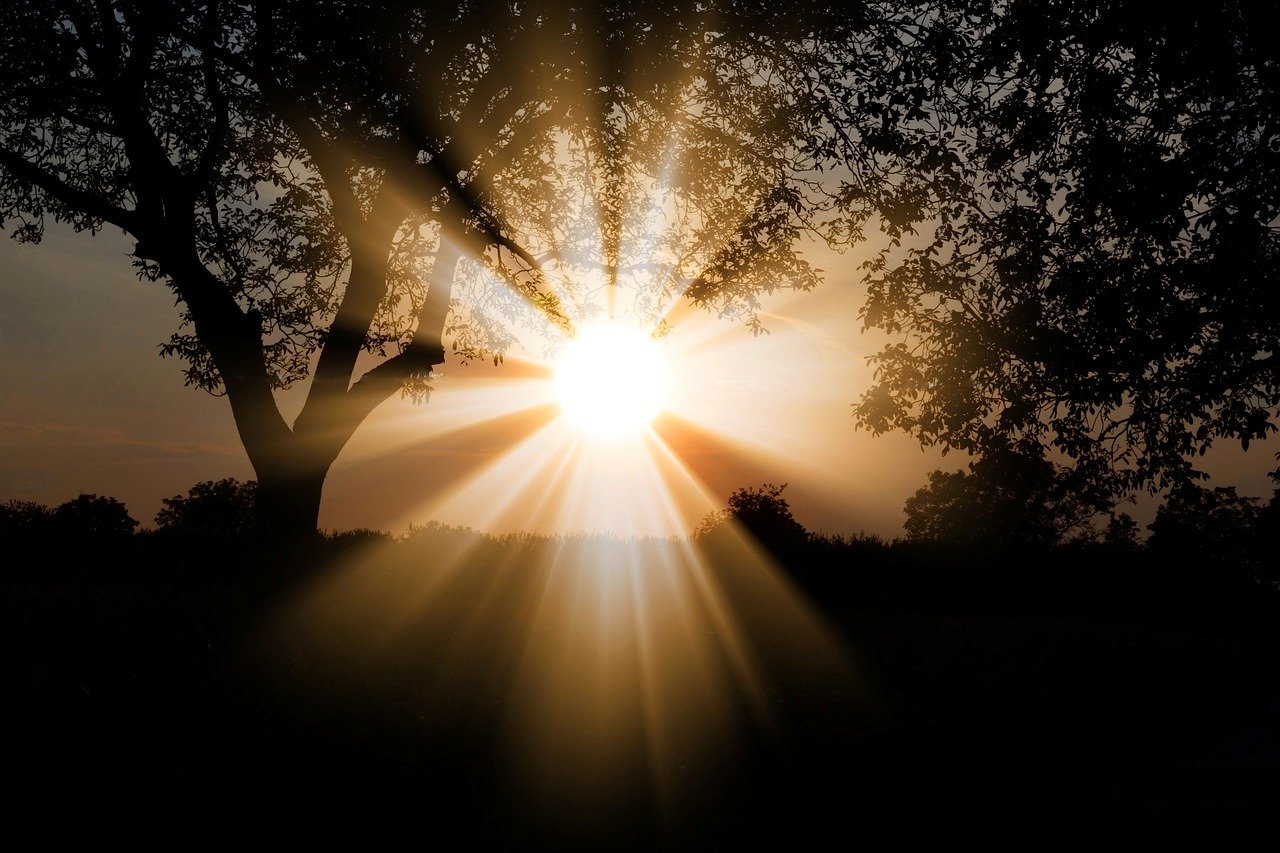 A photo of a silhouette of a group of trees near sunset and a pale orange sun in the center with beams shooting forth