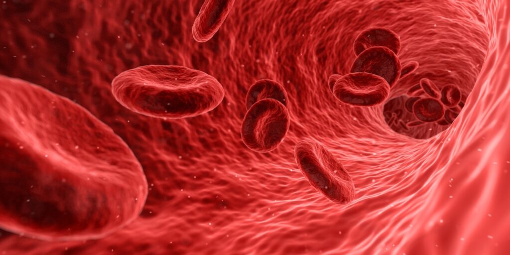 A graphical representation of the interior of a the vein of a body with a few blood cells flowing through