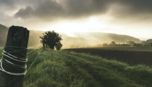 A photo of a large field with a fence post on the far left and a small tree halfway to the background inline with the post with clouds, fog, sun, and a set of small mountains in the background