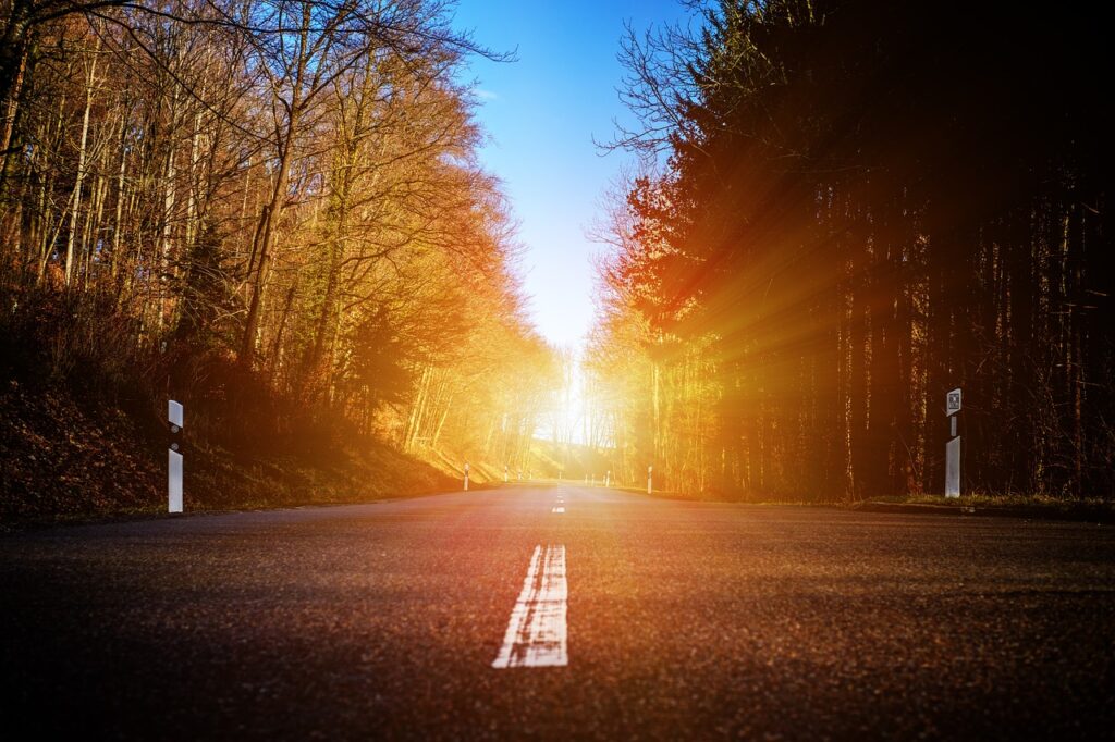 A photo taken from ground level in the center of a tree lined road at sunset showing that the answer to every problem lies ahead.