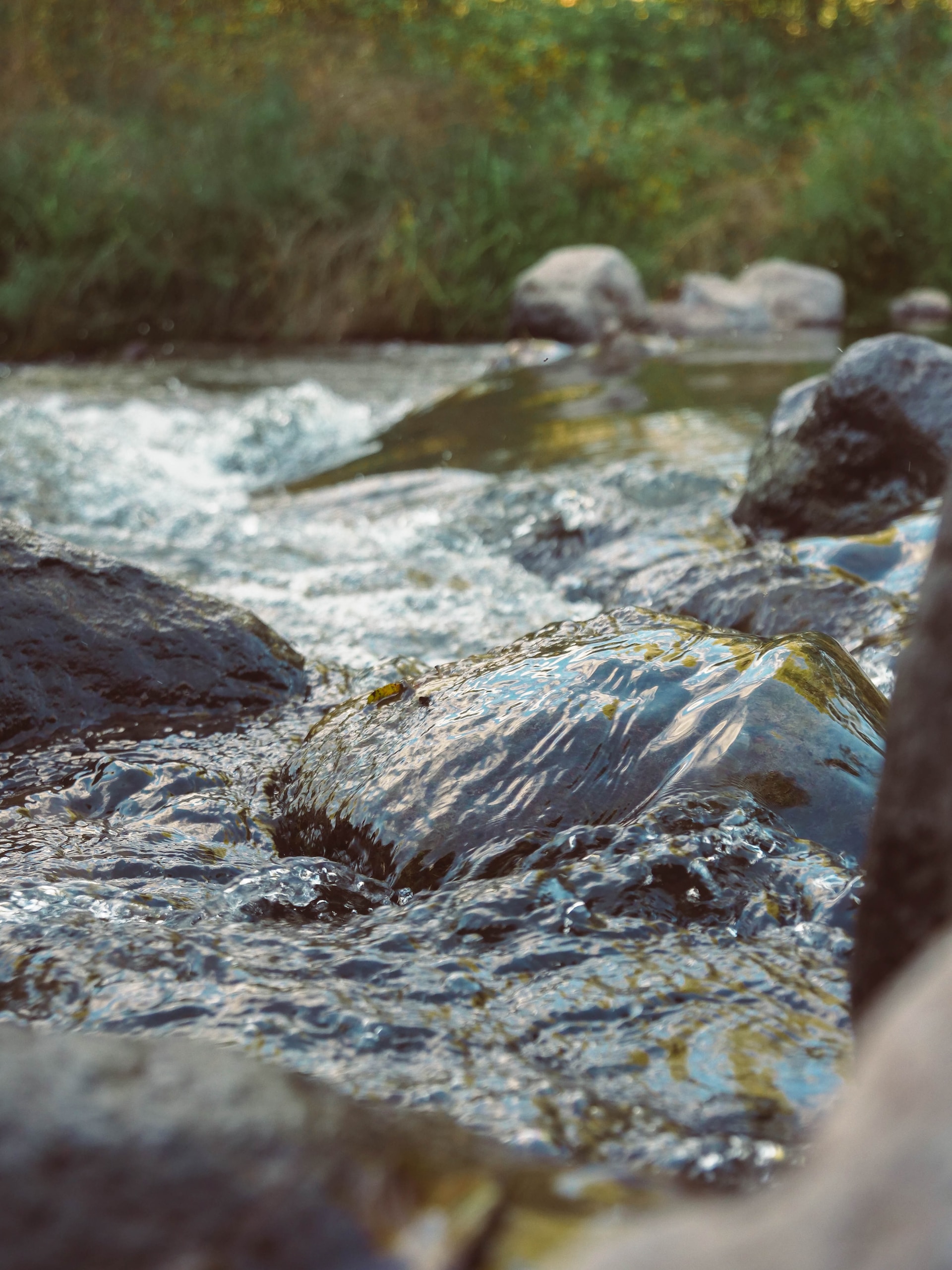 brook-ben-curry-FtrvgO_CXac-unsplash(https-::unsplash.com:photos:body-of-water-during-daytime-FtrvgO_CXac)
