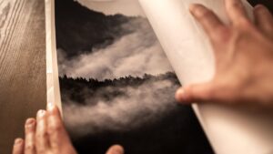 revealed-picture-pexels-marek-piwnicki-3907296-19406877(https-::www.pexels.com:photo:hahnemuhle-if-you-like-my-work-consider-supporting-me-at-https-www-patreon-com-marekpiwnicki-19406877:)